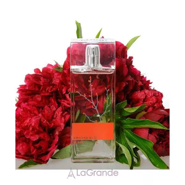 Armand Basi In Red �������� ���� (������)