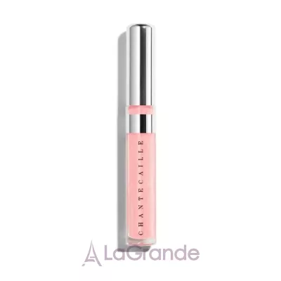 Chantecaille Brilliant Lip Gloss   