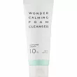 Esthetic House Houttuynia Cordata 10% Wonder Calming Foam Cleanser    