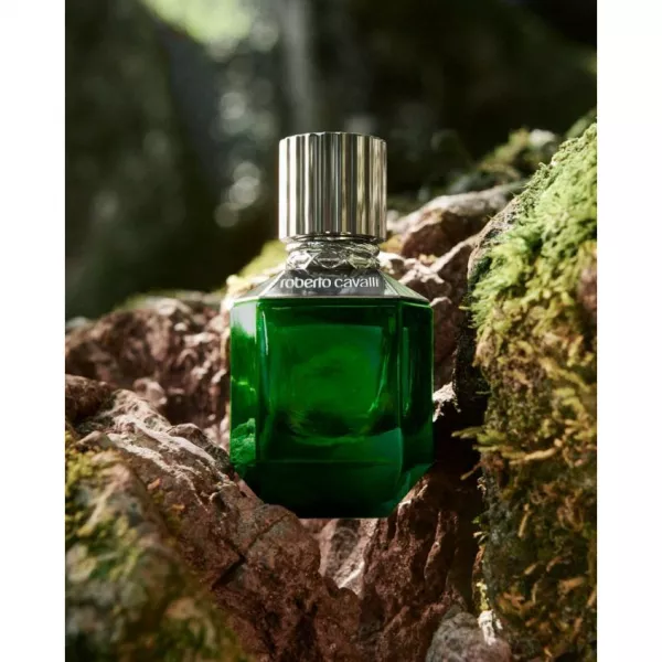 Roberto Cavalli  Paradise Found For Men ��������� ���� (������)