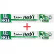 Dabur Herbl Basil Natural Toothpaste     