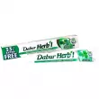 Dabur Herbl Basil Natural Toothpaste     