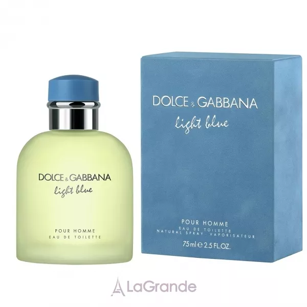 D&g light blue on sale 75ml