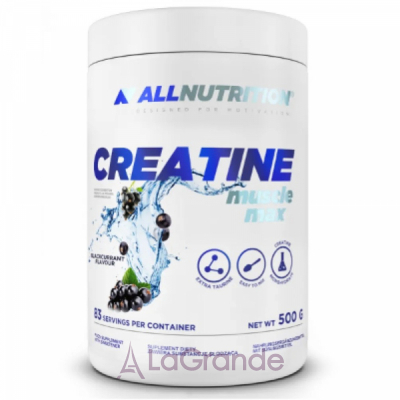 Allnutrition Creatine Muscle Max Black Currant  