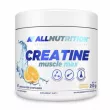 Allnutrition Creatine Muscle Max Orange  