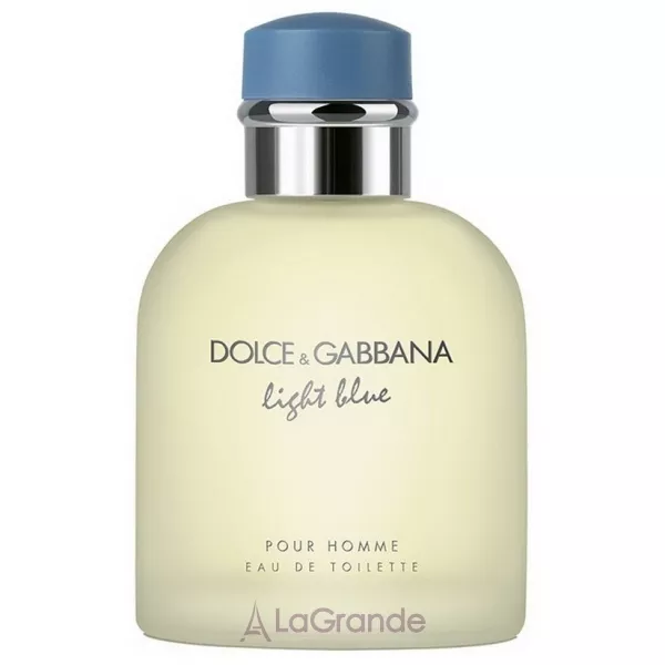 Dolce & Gabbana Light Blue pour Homme ��������� ���� (������)
