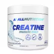 Allnutrition Creatine Muscle Max Pure  