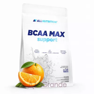 Allnutrition BCAA Max Support Orange ����������� BCAA ��� ������ ����������