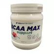 Allnutrition BCAA Max Support Apple  BCAA   