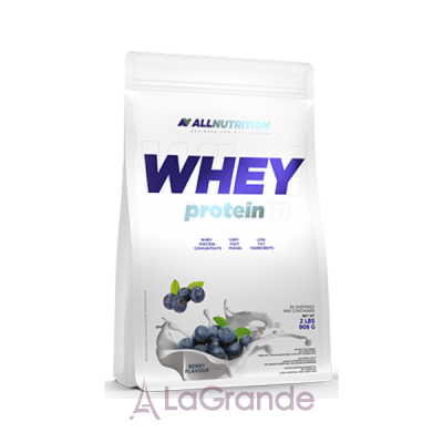 Allnutrition Whey Protein Blueberry   