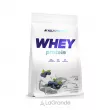 Allnutrition Whey Protein Blueberry   