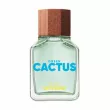 Benetton United Dreams Green Cactus For Him  