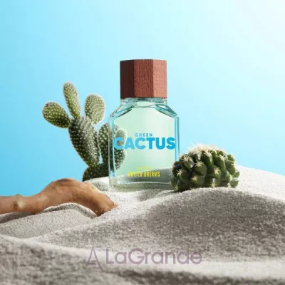 Benetton United Dreams Green Cactus For Him   ()