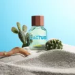 Benetton United Dreams Green Cactus For Him   ()