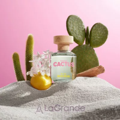 Benetton United Dreams Green Cactus For Her   ()