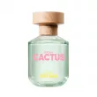 Benetton United Dreams Green Cactus For Her   ()