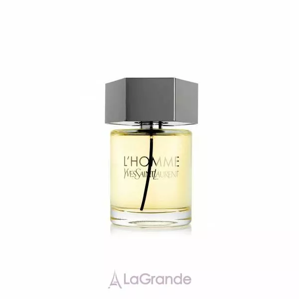 Yves Saint Laurent L`Homme ��������� ����