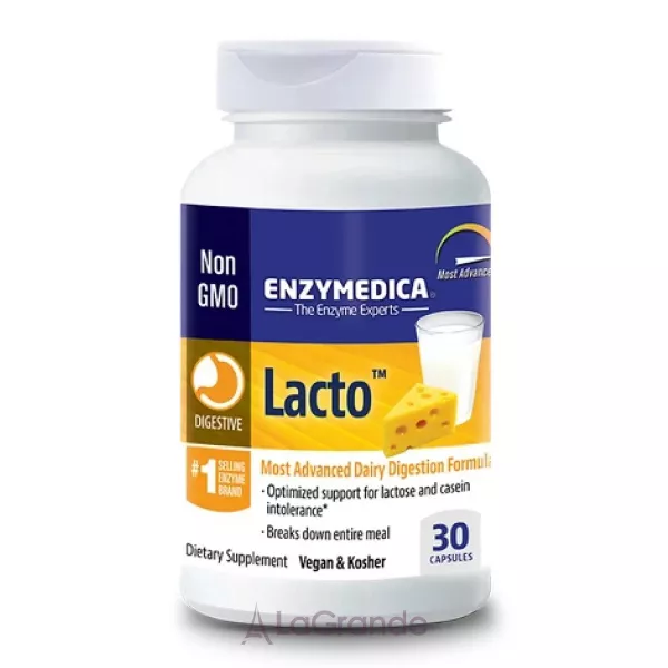 Enzymedica Lacto �������� ��� ������������� �������� ��������
