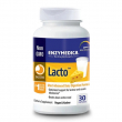 Enzymedica Lacto 30pcs