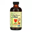 ChildLife Essentials Multi Vitamin & Mineral Liquid Orange Mango          