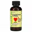 ChildLife Essentials Iron Liquid Berry        