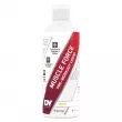 DY Nutrition Muscle Force PWO Liquid  