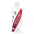 DY Nutrition Muscle Force PWO Liquid  