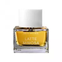 New Notes Latte Mimosa ���� (������)