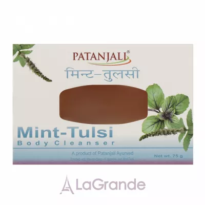 Patanjali Mint-Tulsi Body Cleanser    