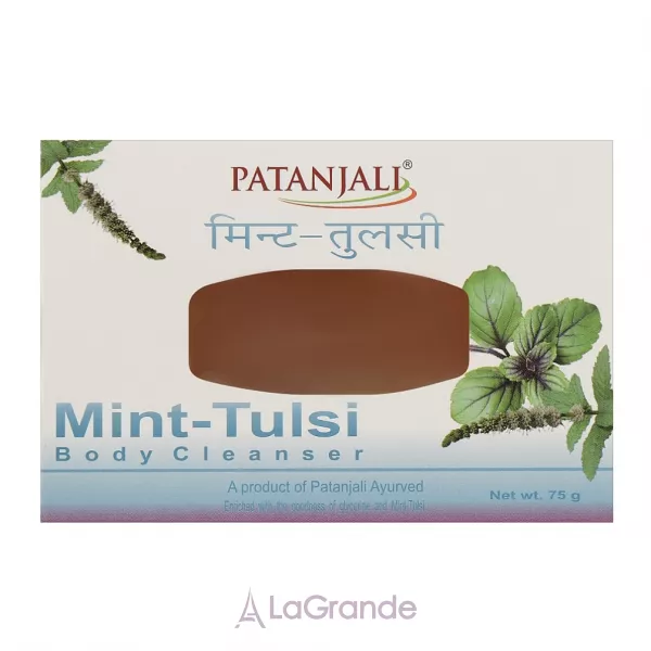 Patanjali Mint-Tulsi Body Cleanser ���� ��� ��� 
