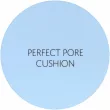 The Saem Saemmul Perfect Pore Cushion   