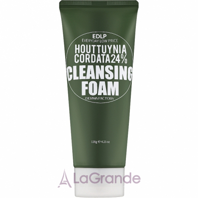 Derma Factory Houttuynia Cordata 24% Cleansing Foam        