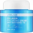 Lebelage Collagen Hyaluronic Cream       