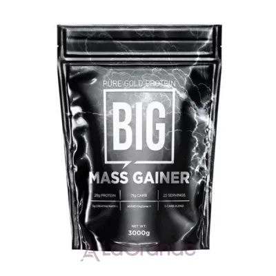 Big Mass Gainer Chocolate     , 