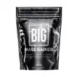 Pure Gold Big Mass Gainer Vanila      