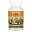 NaturesPlus Animal Parade Kid Zinc Lozenges     