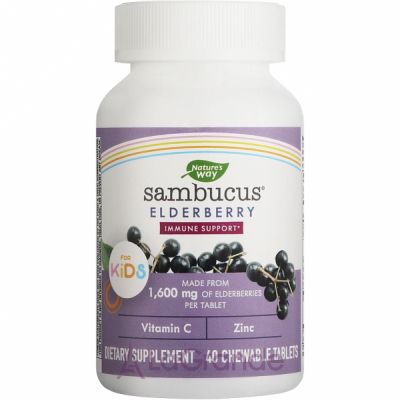 Nature's Way Sambucus Standardized Elderberry Chewable Tablets      