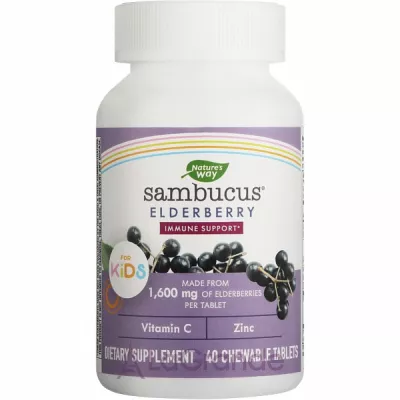 Nature's Way Sambucus Standardized Elderberry Chewable Tablets      