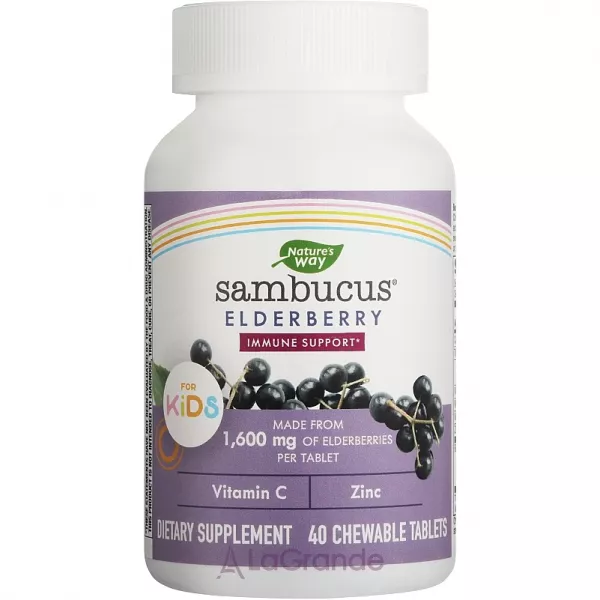 Nature's Way Sambucus Standardized Elderberry Chewable Tablets ����������� �������� � ������� ��� �����