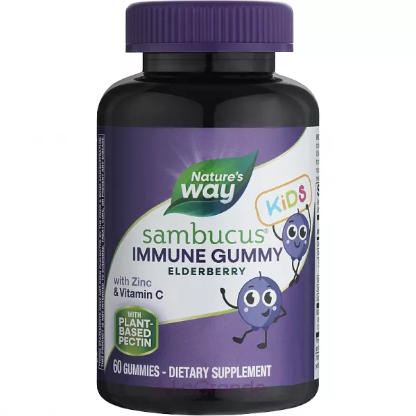 Nature's Way Sambucus Standardized Elderberry Gummies �������� ������� � ������� ��� ����