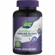 Nature's Way Sambucus Standardized Elderberry Gummies 60pcs