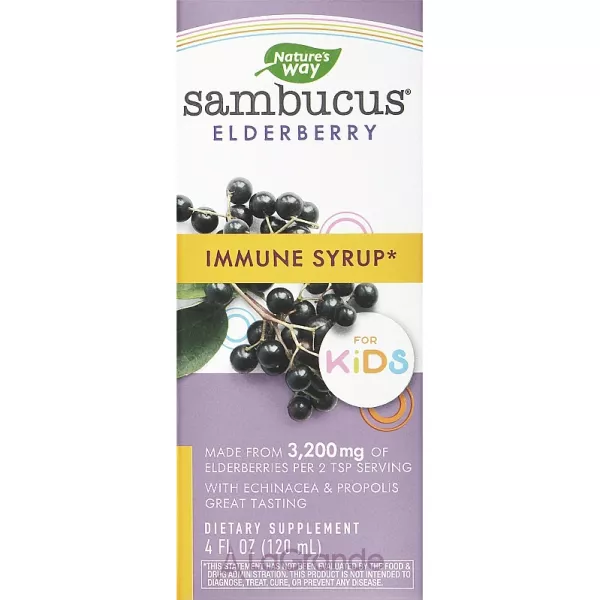 Nature's Way Sambucus Elderberry Immune Syrup For Kids ����� ��� ����� 