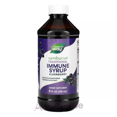 Nature's Way Sambucus Standardized Elderberry Original Syrup    