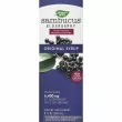 Nature's Way Sambucus Standardized Elderberry Original Syrup    