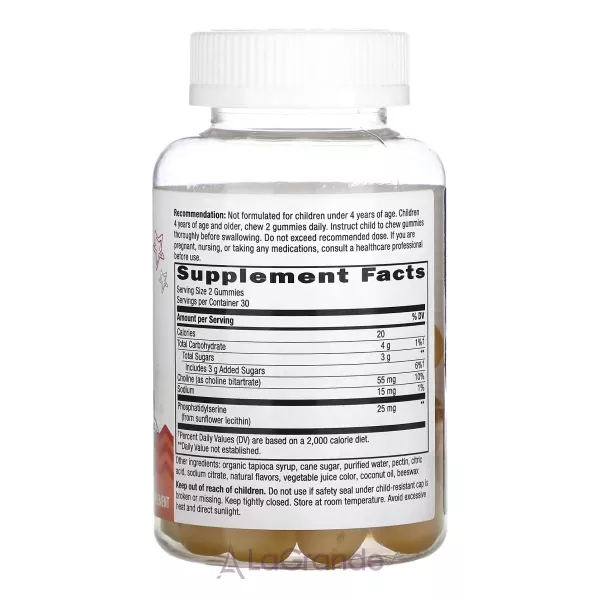 Nature's Way Brain Builder Gummy ������� ������� 