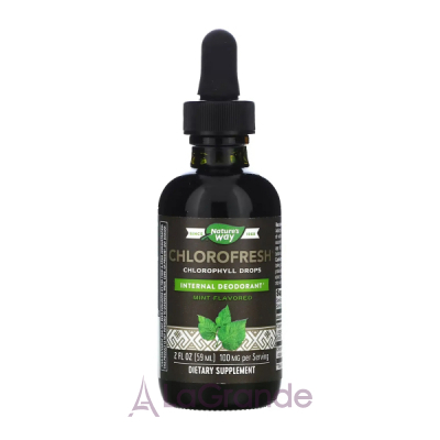 Nature's Way Chlorofresh Chlorophyll Drops Mint Flavored     