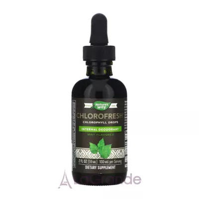 Nature's Way Chlorofresh Chlorophyll Drops Mint Flavored     