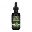 Nature's Way Chlorofresh Chlorophyll Drops Mint Flavored     