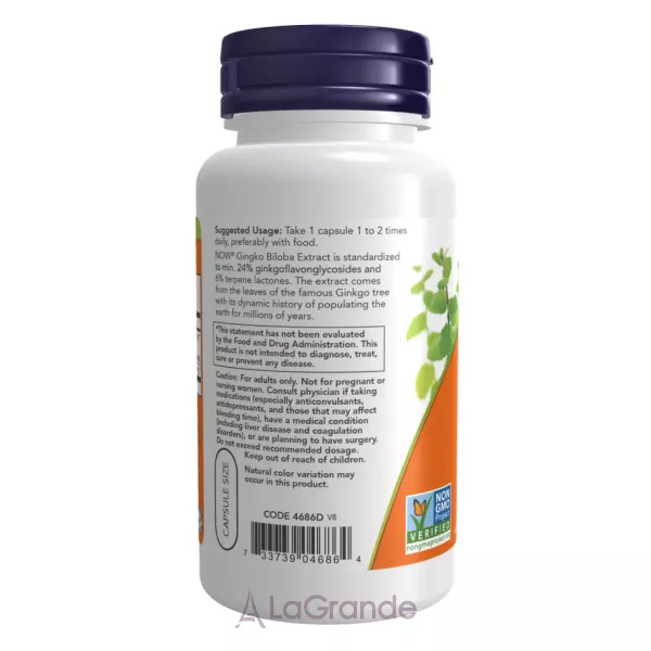 Now Foods Ginkgo Biloba ���������� ������� ó���� ������, 60 ��