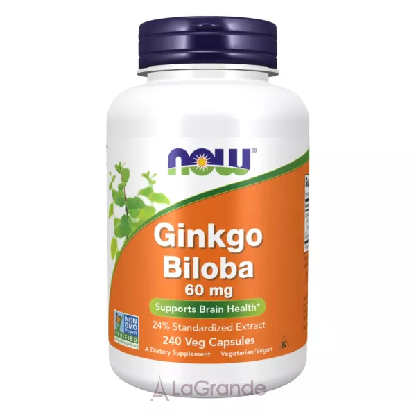 Now Foods Ginkgo Biloba ���������� ������� ó���� ������, 60 ��